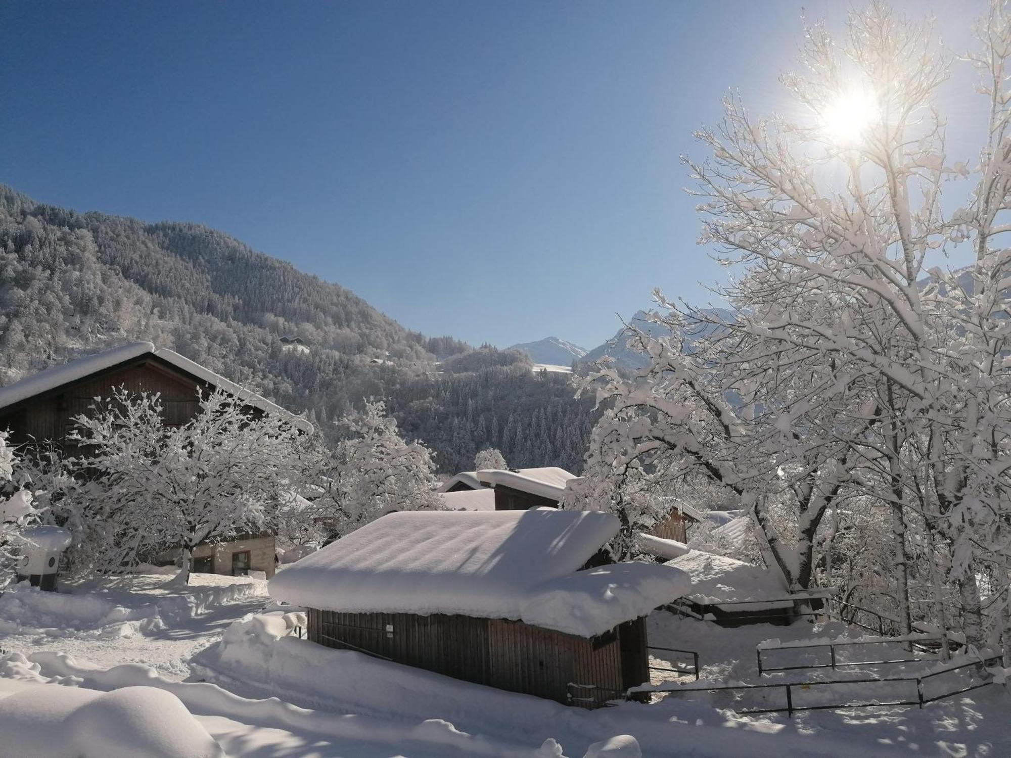 Ferienwohnung Ulrike Sankt Anton im Montafon Eksteriør billede